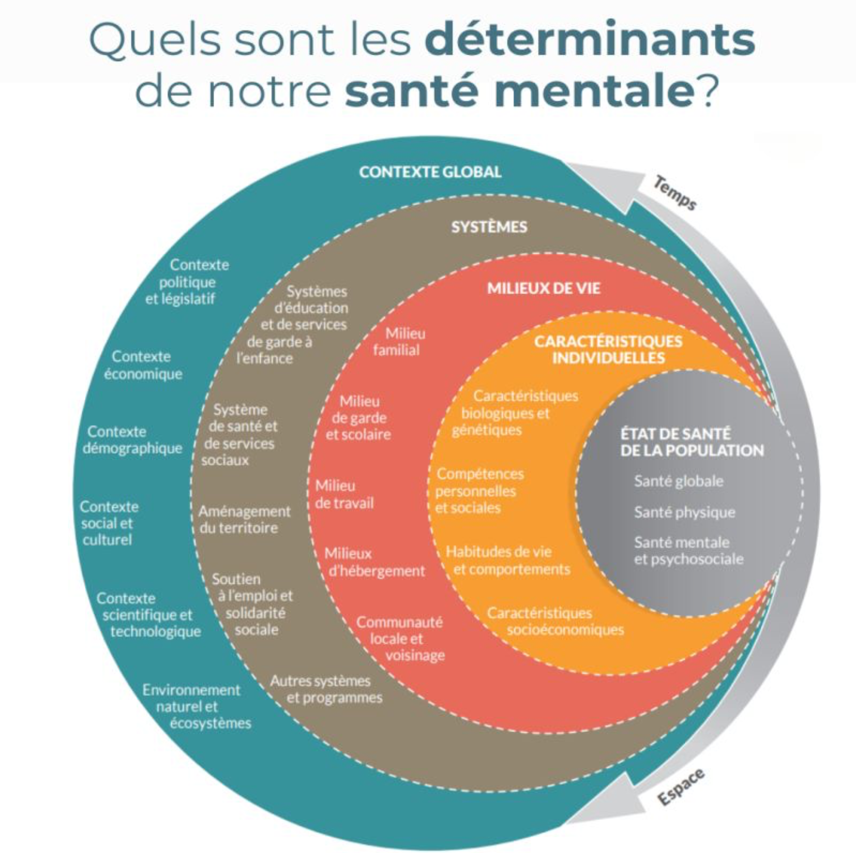 vu sur @neuroscience-officiel insta / dm for credit