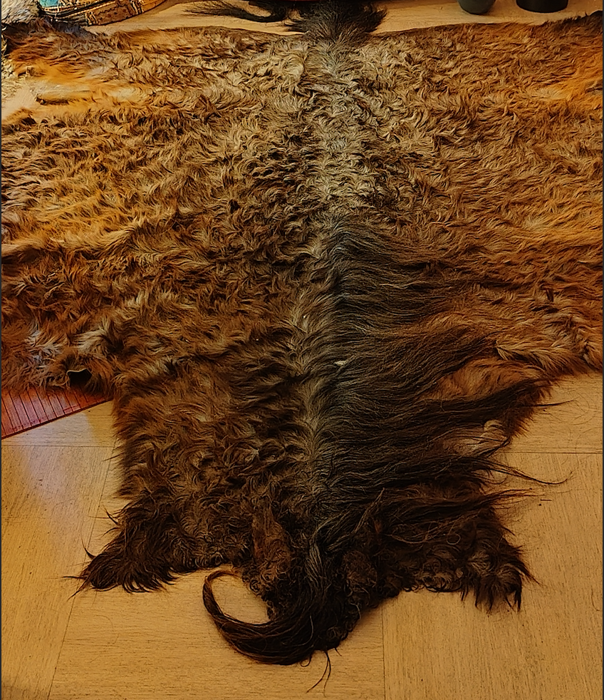 La peau de ma jument que j'ai récupéré pour faire un tapis de prière lors de mes cérémonies & rituels.