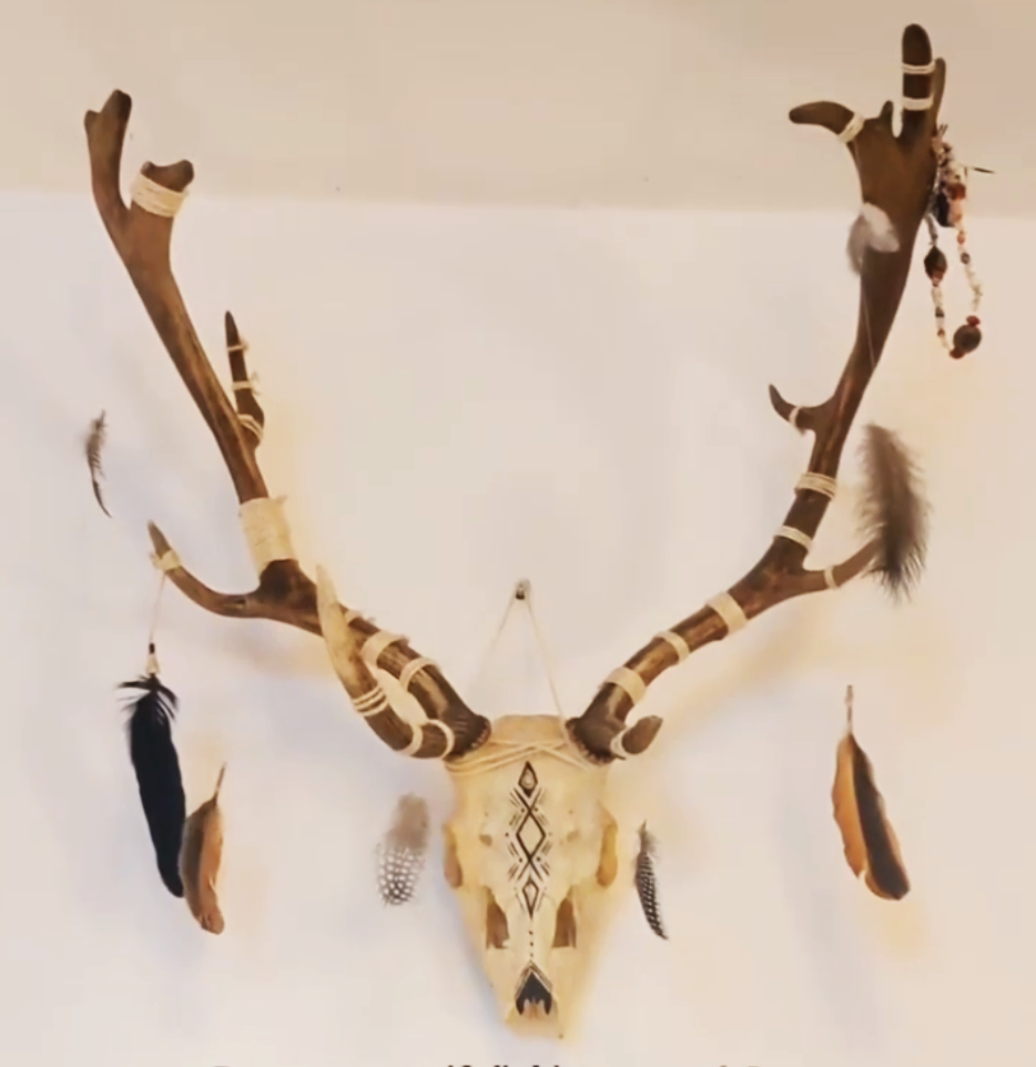 Mon crâne de cerf que j'ai pimpé à ma manière